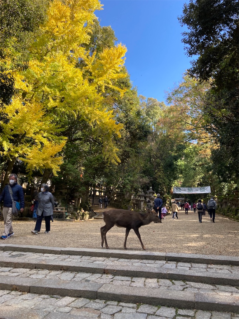 f:id:bar_yamagoya:20211130084406j:image f:id:bar_yamagoya:20211130084406j:image