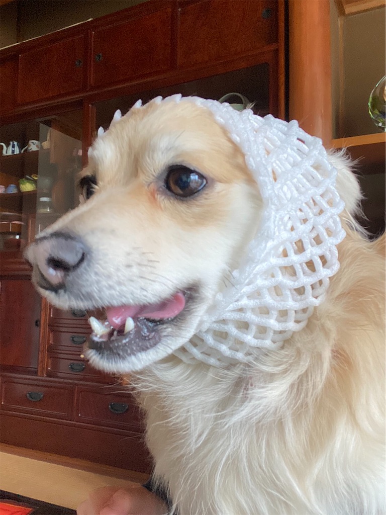 f:id:barber_t:20200410220421j:image