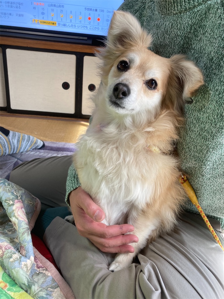 f:id:barber_t:20240111112645j:image f:id:barber_t:20240111112645j:image