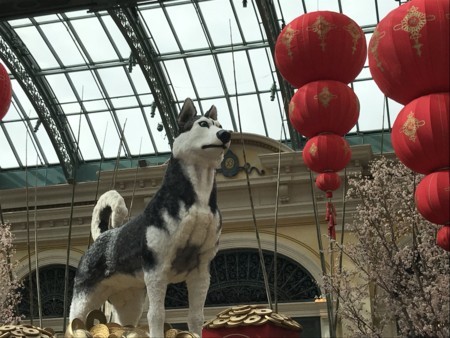 f:id:barbie-sf:20180214112141j:image