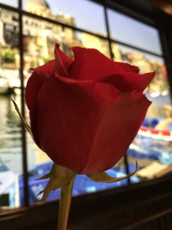 f:id:barbie-sf:20180214211243j:image