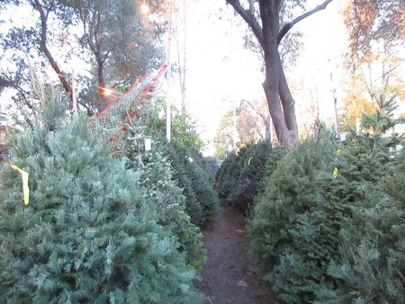 f:id:barbie-sf:20181203093149j:image