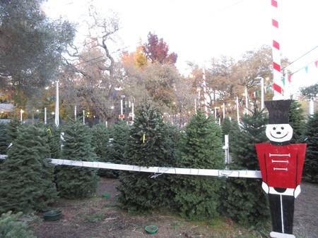 f:id:barbie-sf:20181203093644j:image