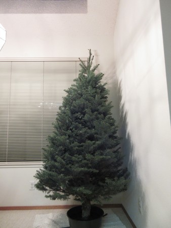 f:id:barbie-sf:20181203101028j:image