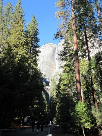 f:id:barbie-sf:20181228064014j:image