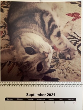 20210903132200