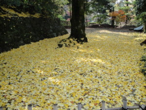 f:id:barcaw:20091128110709j:image