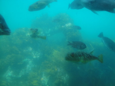 f:id:barcaw:20120422140915j:image