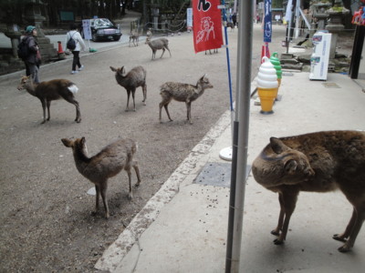 f:id:barcaw:20150214110317j:image