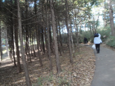 f:id:barcaw:20151129105357j:image