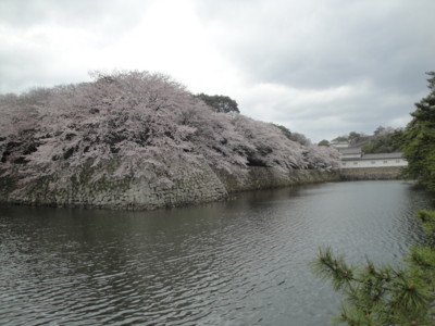 f:id:barcaw:20160403143833j:image