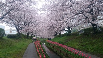 f:id:barcaw:20170408141515j:image