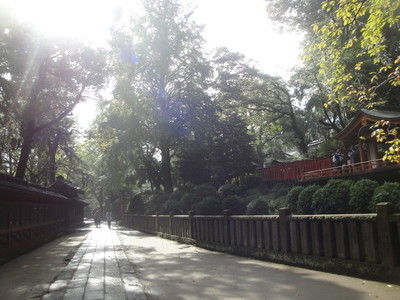 f:id:barcaw:20181027094318j:image:w400