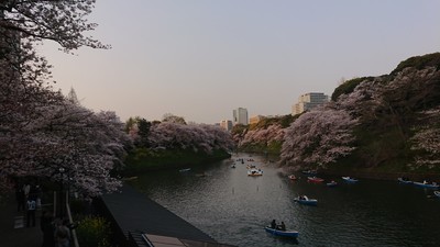 f:id:barcaw:20190407170951j:image:w400