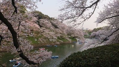 f:id:barcaw:20190407171348j:image:w400