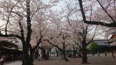 f:id:barcaw:20190407173817j:image:w400