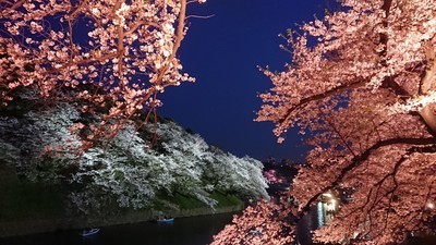 f:id:barcaw:20190407183443j:image:w400
