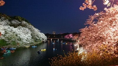 f:id:barcaw:20190407183616j:image:w400