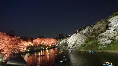 f:id:barcaw:20190407184134j:image:w400