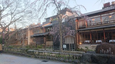 f:id:barcaw:20200320175303j:image:w400