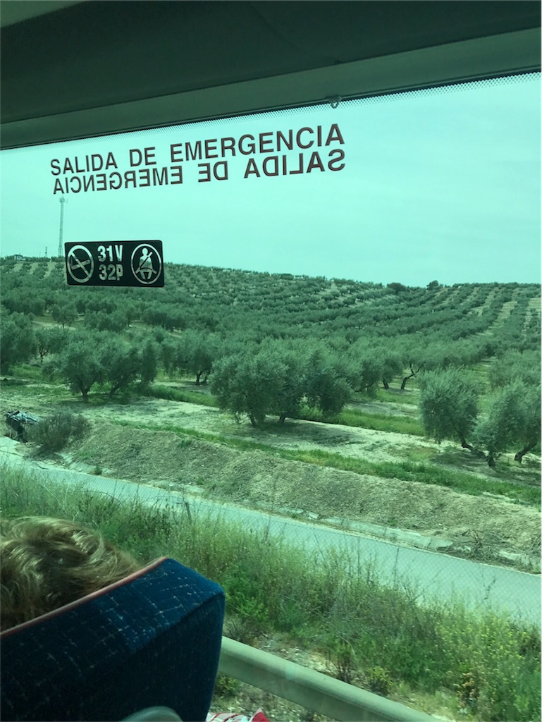 f:id:barcelonablog:20170501032558j:image f:id:barcelonablog:20170501032558j:image