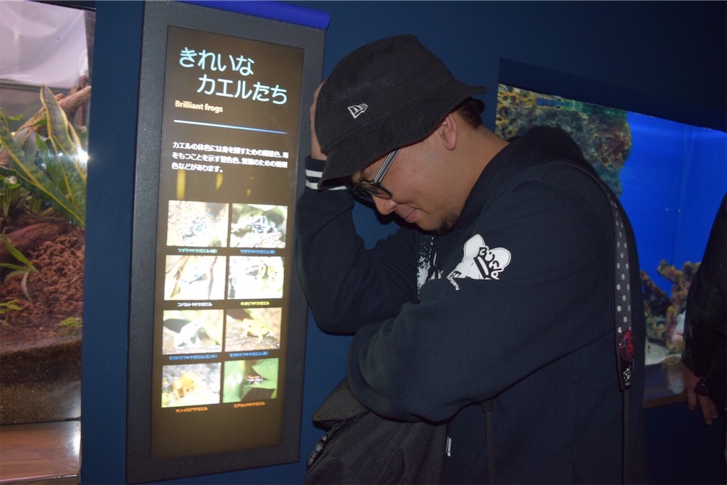 f:id:bardic69:20190311160509j:image