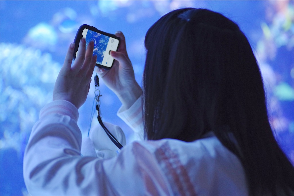 f:id:bardic69:20190311160513j:image