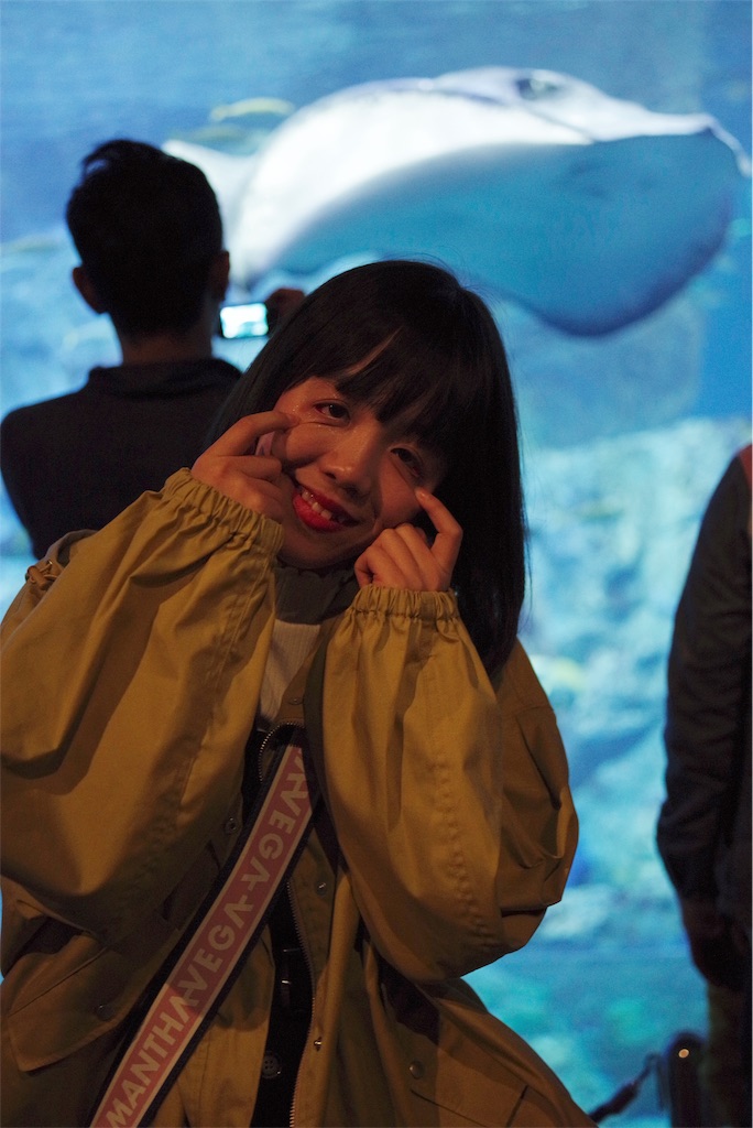 f:id:bardic69:20190311160524j:image