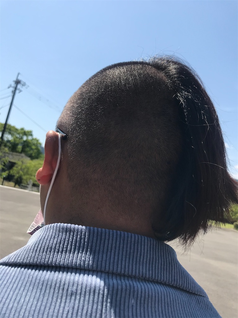 f:id:bardic69:20230311205401j:image