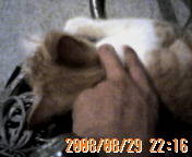 f:id:bareo:20040127114056j:image