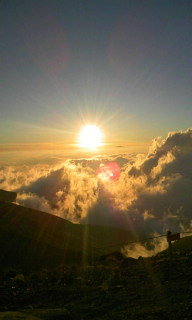 f:id:bareo:20070814235848j:image