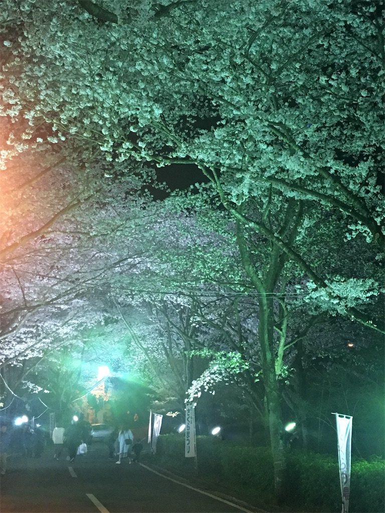 f:id:bari_star_fire:20190408222903j:image