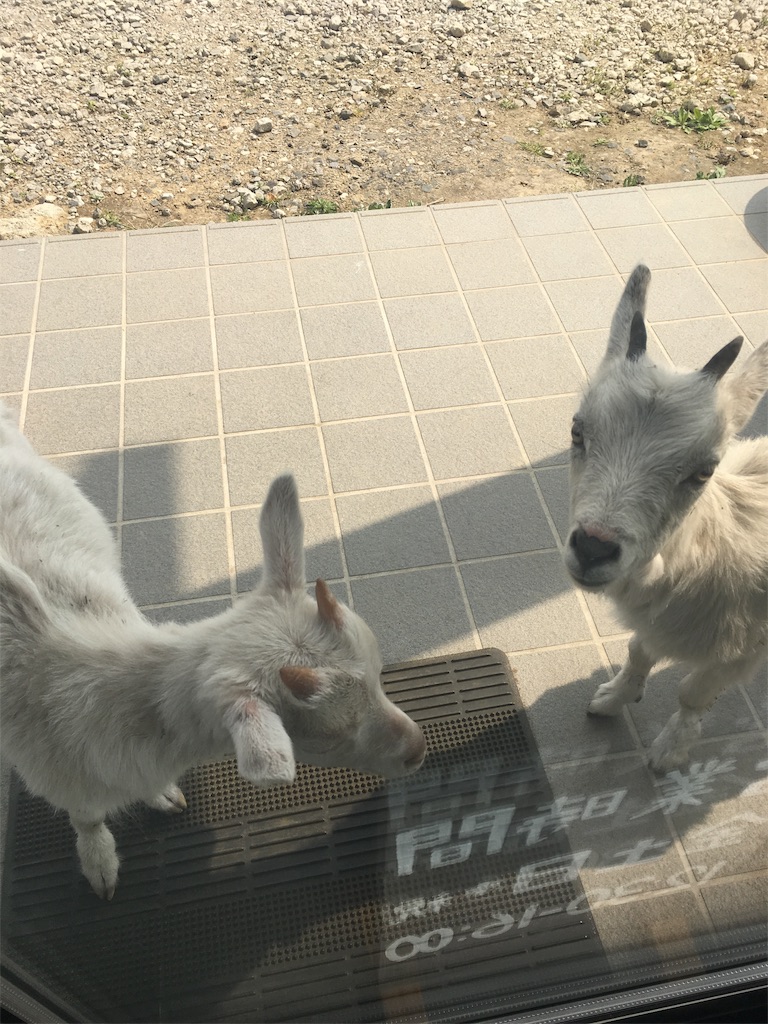 f:id:bari_star_fire:20190422200737j:image