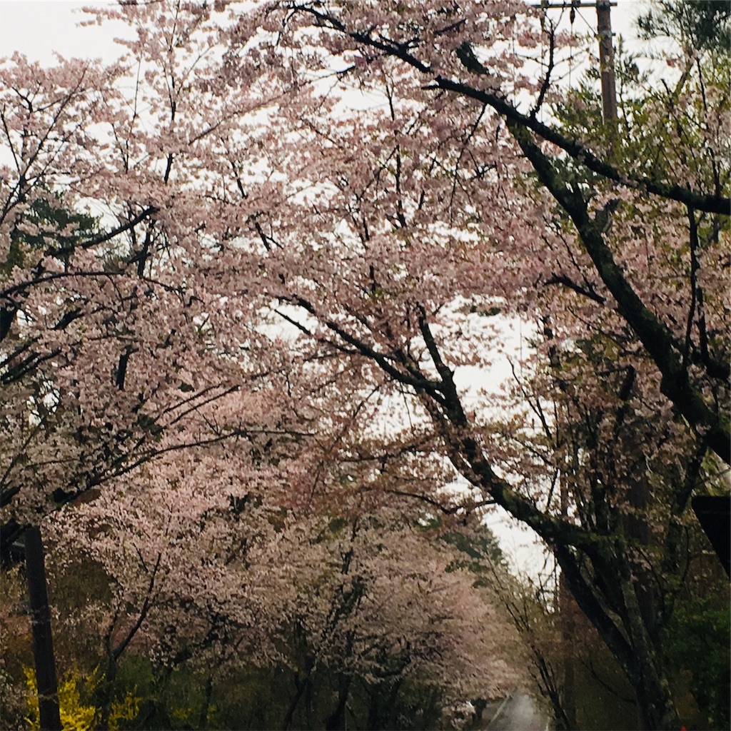 f:id:bari_star_fire:20190429081820j:image f:id:bari_star_fire:20190429081820j:image