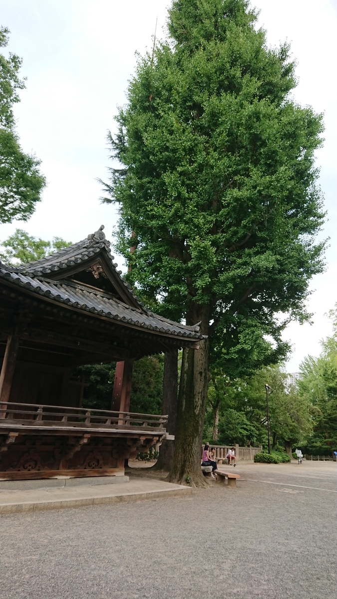 f:id:baribarikun:20190809175700j:plain f:id:baribarikun:20190809175700j:plain