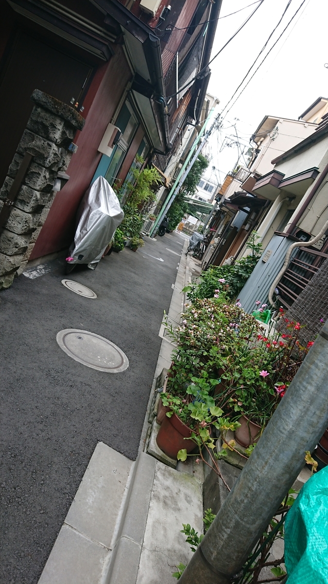 f:id:baribarikun:20200606190331j:plain