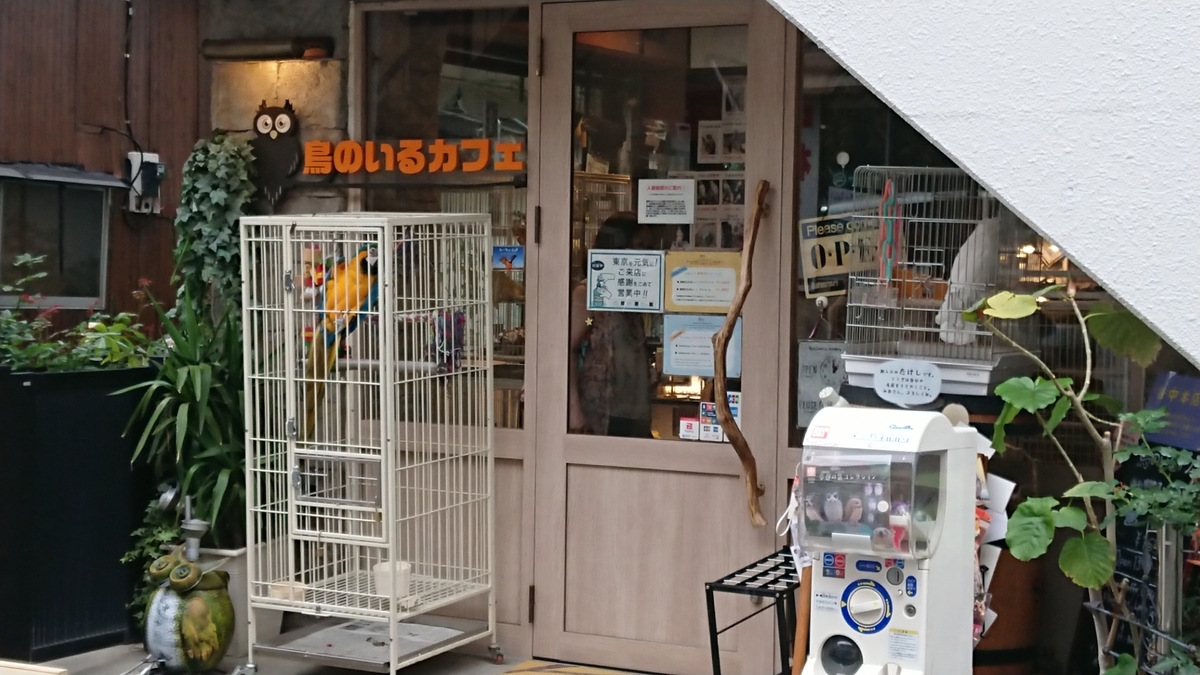 f:id:baribarikun:20200606190954j:plain