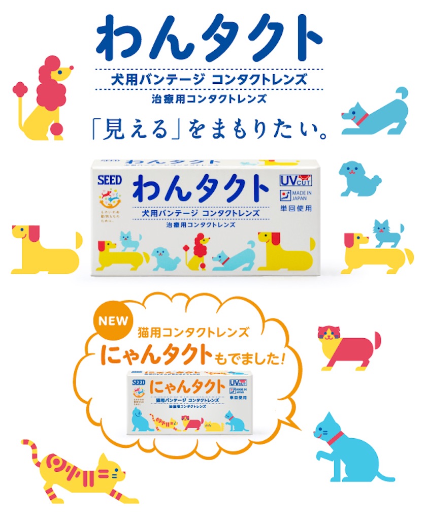 瞳と目の違いは Barikatuoの日記