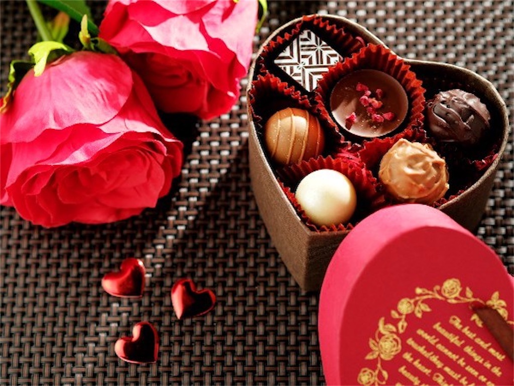 f:id:barikatuo:20210211213012j:image