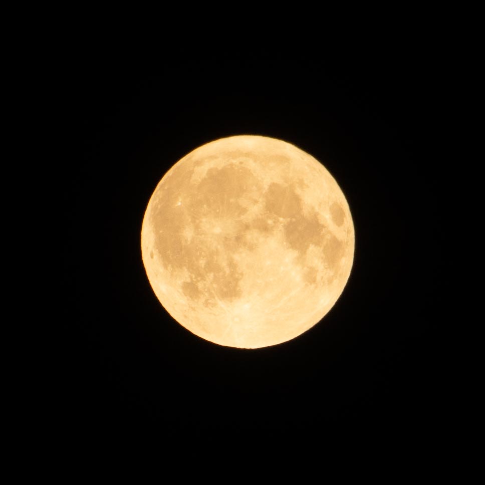 f:id:barkfromthemoon:20180828184452j:plain
