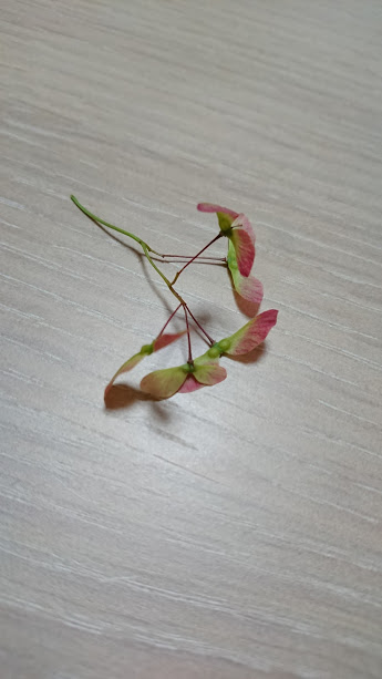 f:id:barmimosa:20180427195620j:plain