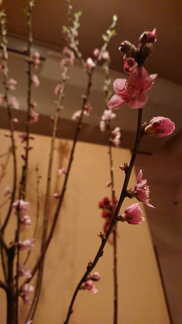 f:id:barmimosa:20200301200430j:plain