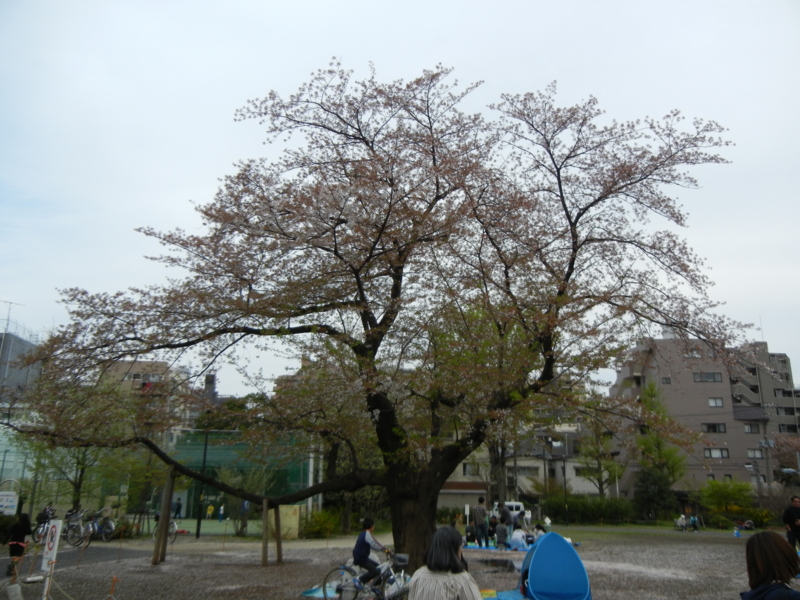 f:id:baroasis:20120415151958j:image