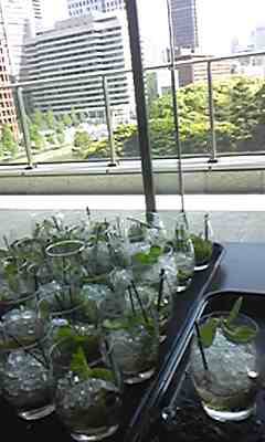 f:id:baroasis:20130715195752j:image:w360