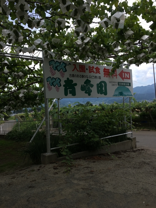 f:id:baroasis:20180407162147j:image