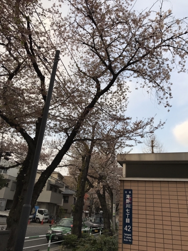 f:id:baroasis:20180408191216j:image