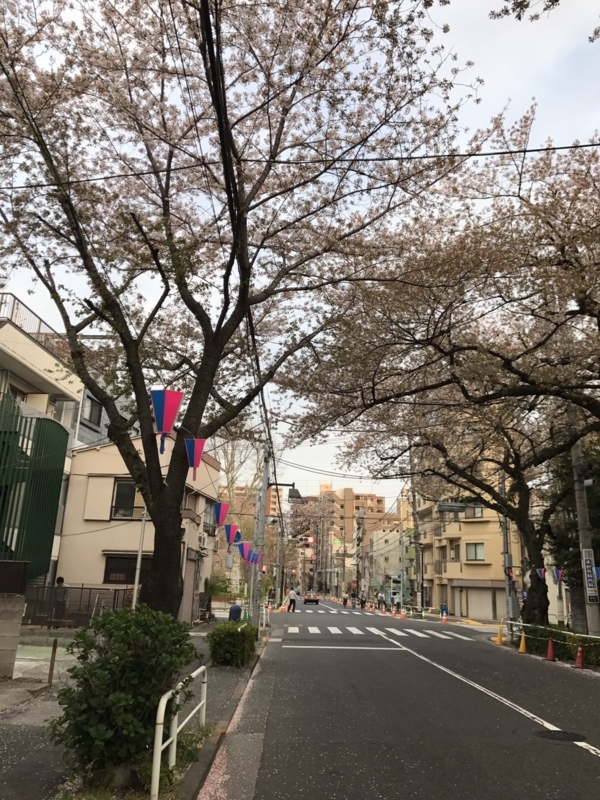 f:id:baroasis:20180408191221j:image