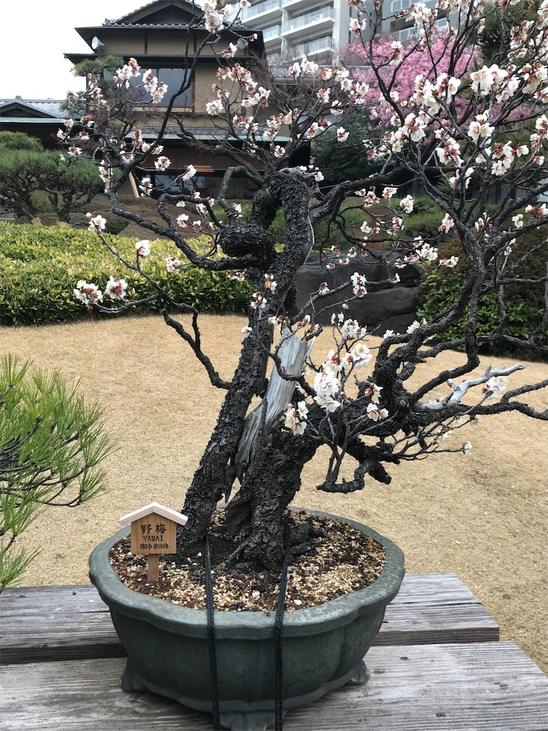 f:id:baroasis:20190228193610j:image