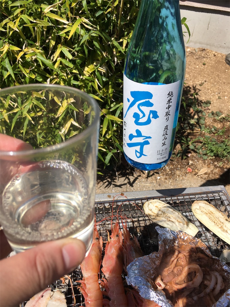 f:id:baroasis:20190430143013j:image