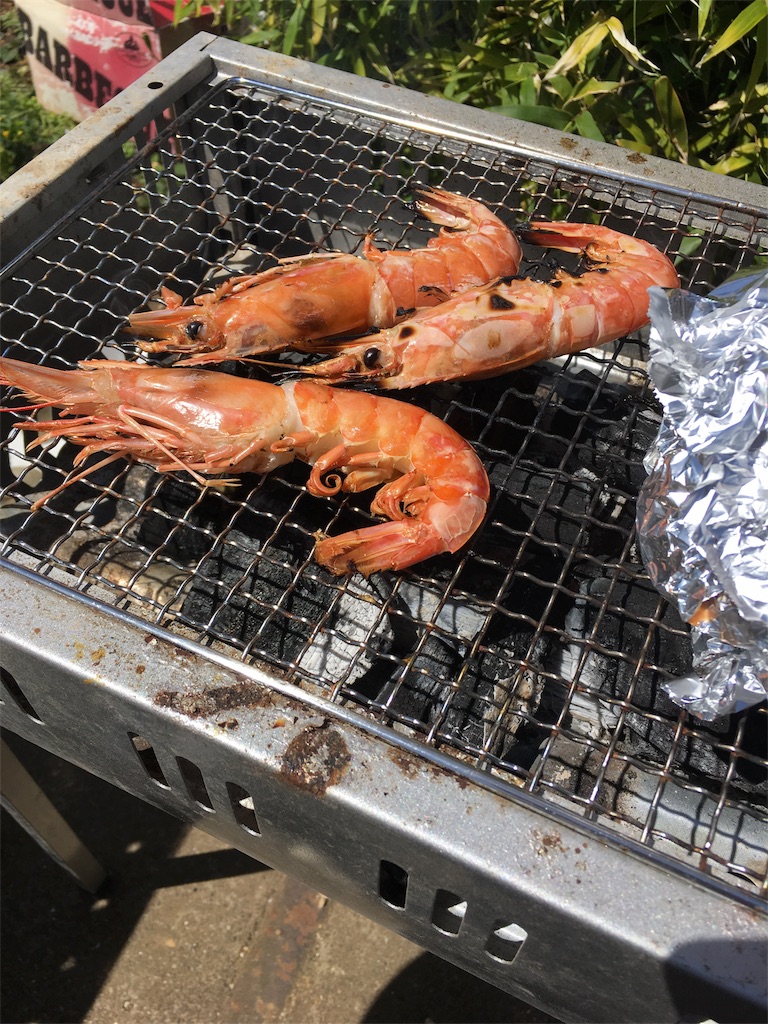 f:id:baroasis:20190430143019j:image